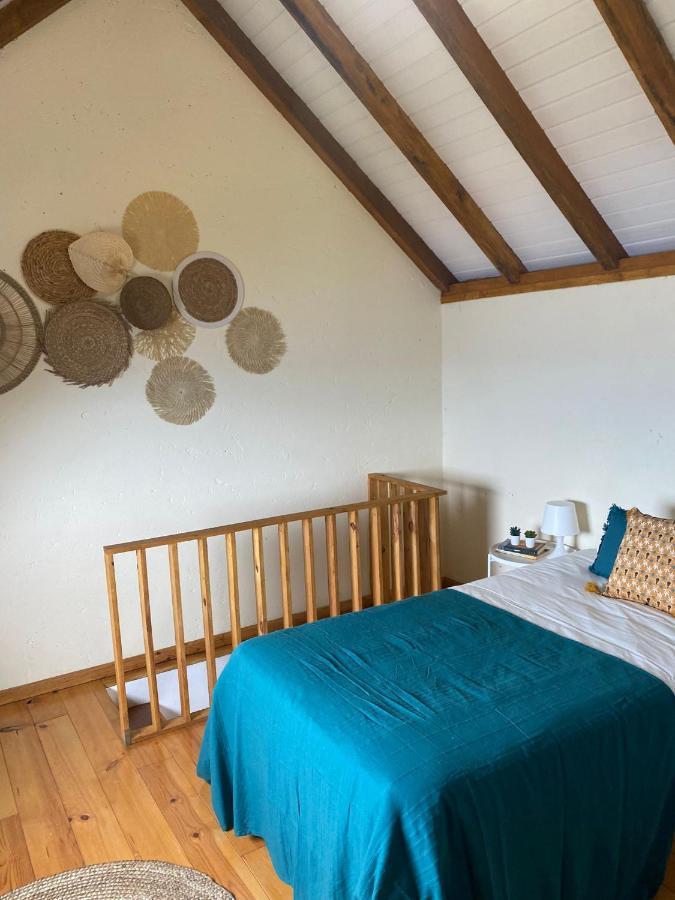 Casa Dias Apartment ปอร์โต โมนิซ ภายนอก รูปภาพ